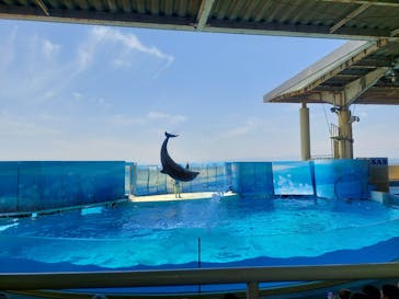 江の島シーキャンドル×新江ノ島水族館に投稿された画像（2023/5/9）