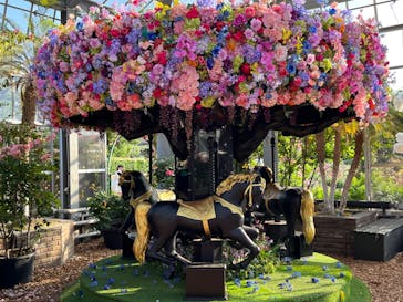 京成バラ園に投稿された画像（2023/5/9）