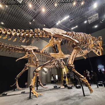 特別展「恐竜博2023」に投稿された画像（2023/5/9）