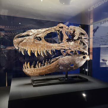 特別展「恐竜博2023」に投稿された画像（2023/5/9）