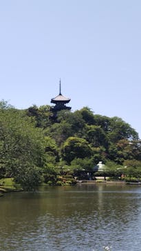 三溪園に投稿された画像（2023/5/9）