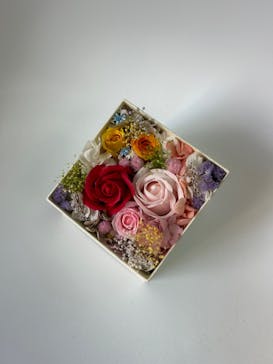 ずこうしつ〜sugamo〜に投稿された画像（2023/5/9）