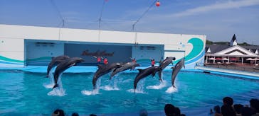 南知多ビーチランド＆南知多おもちゃ王国に投稿された画像（2023/5/9）