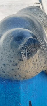 南知多ビーチランド＆南知多おもちゃ王国に投稿された画像（2023/5/9）