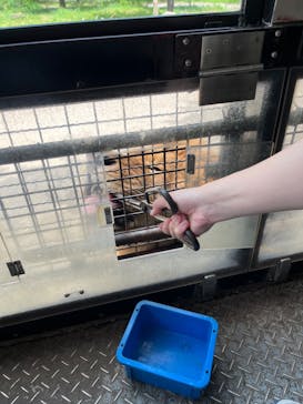 群馬サファリパークに投稿された画像（2023/5/9）