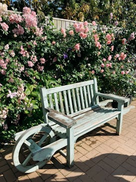 横浜イングリッシュガーデンに投稿された画像（2023/5/9）