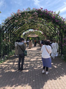 横浜イングリッシュガーデンに投稿された画像（2023/5/9）