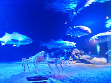 環境水族館アクアマリンふくしまに投稿された画像（2023/5/9）