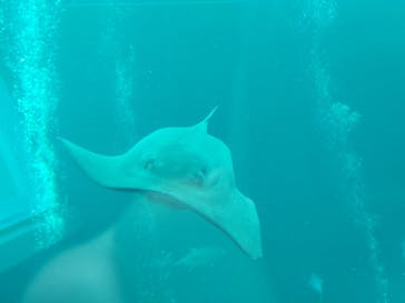 環境水族館アクアマリンふくしまに投稿された画像（2023/5/9）