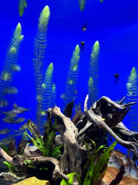 サンシャイン水族館に投稿された画像（2023/5/10）