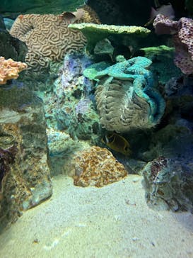 サンシャイン水族館に投稿された画像（2023/5/10）