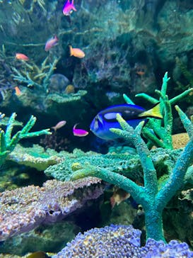 サンシャイン水族館に投稿された画像（2023/5/10）