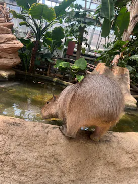 神戸どうぶつ王国に投稿された画像（2023/5/10）