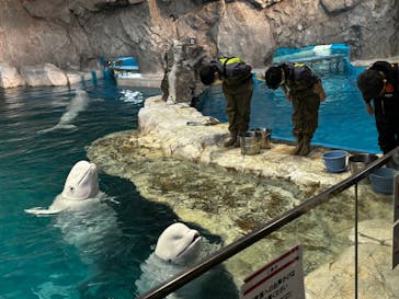 名古屋港水族館に投稿された画像（2023/5/10）
