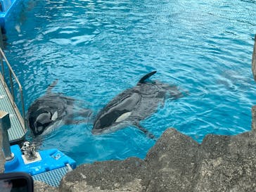 名古屋港水族館に投稿された画像（2023/5/10）