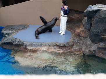 アクアワールド茨城県大洗水族館に投稿された画像（2023/4/28）