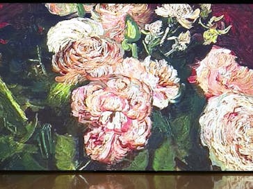 ゴッホ・アライブ神戸に投稿された画像（2023/5/10）