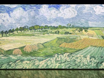 ゴッホ・アライブ神戸に投稿された画像（2023/5/10）