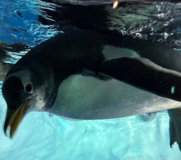 名古屋港水族館に投稿された画像（2023/5/10）