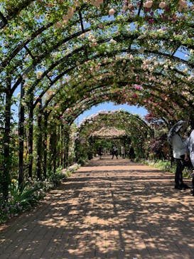 横浜イングリッシュガーデンに投稿された画像（2023/5/10）