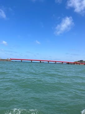 東尋坊観光遊覧船株式会社に投稿された画像（2023/5/10）