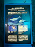 名古屋港水族館に投稿された画像（2023/5/10）