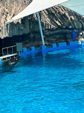 名古屋港水族館に投稿された画像（2023/5/10）