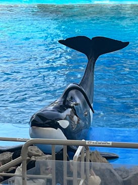 名古屋港水族館に投稿された画像（2023/5/10）