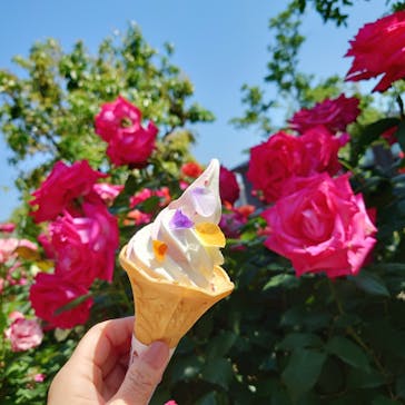 横浜イングリッシュガーデンに投稿された画像（2023/5/10）