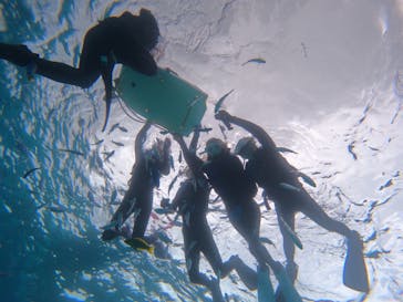 青の洞窟専門店　沖縄ダイビングショップ和に投稿された画像（2023/5/10）