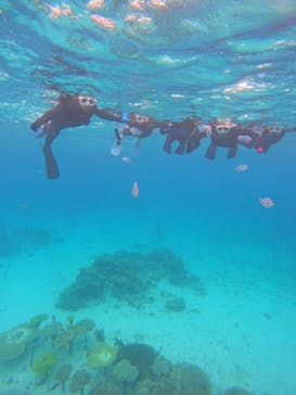 青の洞窟専門店　沖縄ダイビングショップ和に投稿された画像（2023/5/10）