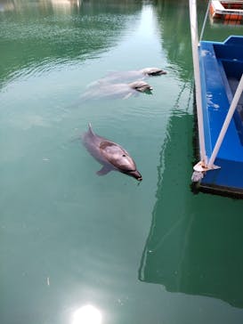 下田海中水族館に投稿された画像（2023/5/10）