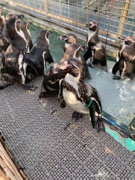 伊豆・三津シーパラダイスに投稿された画像（2023/5/10）