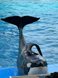 名古屋港水族館に投稿された画像（2023/5/10）