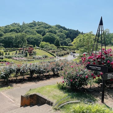 いばらきフラワーパークに投稿された画像（2023/5/10）