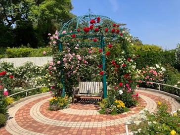 西武園ゆうえんちに投稿された画像（2023/5/10）