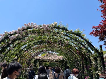 横浜イングリッシュガーデンに投稿された画像（2023/5/10）