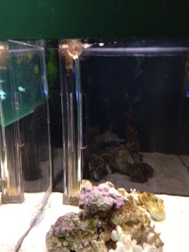 環境水族館アクアマリンふくしまに投稿された画像（2023/5/10）