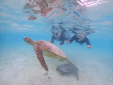 nico 宮古島に投稿された画像（2023/5/7）