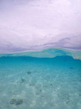 nico 宮古島に投稿された画像（2023/5/7）