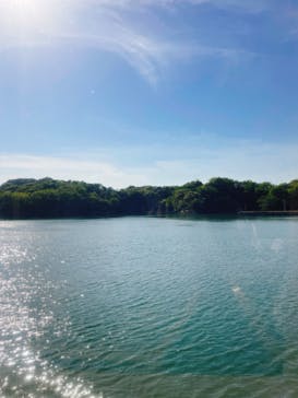 九十九島遊覧船に投稿された画像（2023/5/10）