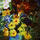 ゴッホ・アライブ神戸に投稿された画像（2023/5/11）