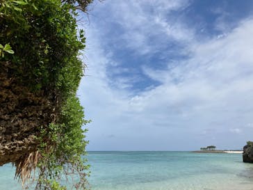 沖縄美ら海水族館に投稿された画像（2023/5/10）