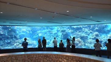 沖縄美ら海水族館に投稿された画像（2023/5/11）