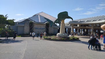 沖縄美ら海水族館に投稿された画像（2023/5/11）