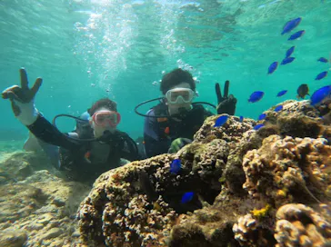 武藤潜水に投稿された画像（2023/5/11）
