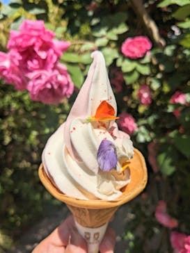 横浜イングリッシュガーデンに投稿された画像（2023/5/11）