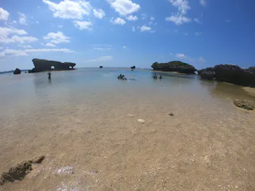 武藤潜水に投稿された画像（2023/5/11）