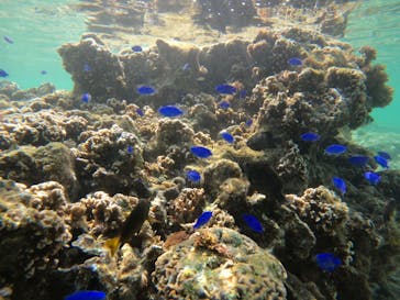 沖縄マリンサービス碧に投稿された画像（2023/5/11）