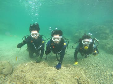 沖縄マリンサービス碧に投稿された画像（2023/5/11）